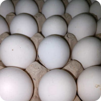 Egg Online Delivery in Halisahar, Kanchrapara & Kalyani - Vegtoh