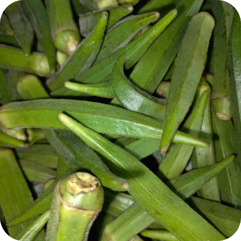 Vendi