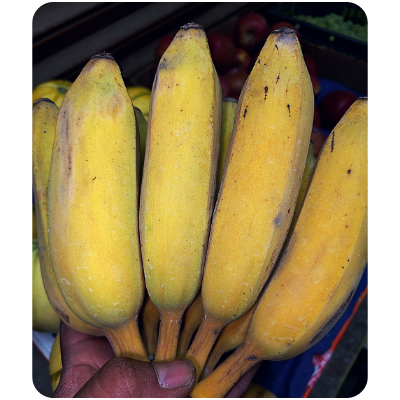 Kathali kola