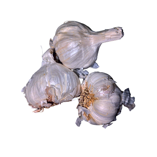 Rasun garlic