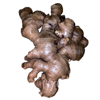 Ada ginger