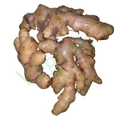 Kacha Ada ginger Online Delivery in Halisahar, Kanchrapara & Kalyani - Vegtoh