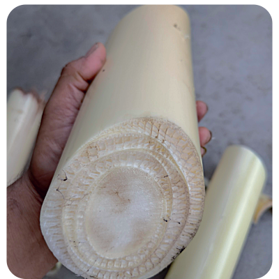 Thor Online Delivery in Halisahar, Kanchrapara & Kalyani - Vegtoh