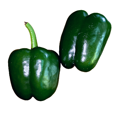 Capsicum