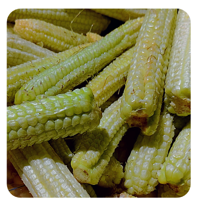Baby Corn Online Delivery in Halisahar, Kanchrapara & Kalyani - Vegtoh