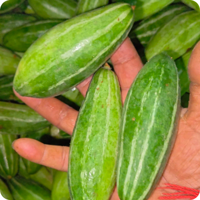 Hoibotkhali Patol Online Delivery in Halisahar, Kanchrapara & Kalyani - Vegtoh