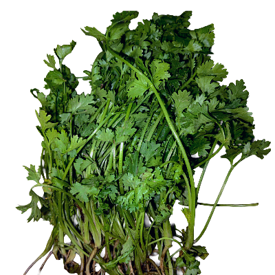 Dhonepata