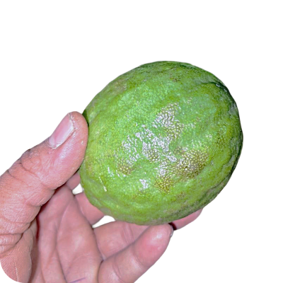 additional image