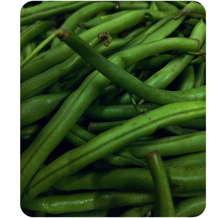 Beans