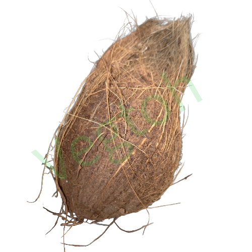 Narkel boro size Online Delivery in Halisahar, Kanchrapara & Kalyani - Vegtoh