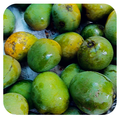 Gach paka Himsagar Online Delivery in Halisahar, Kanchrapara & Kalyani - Vegtoh