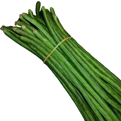Borboti