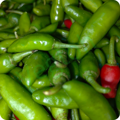 Mota lanka bullet Online Delivery in Halisahar, Kanchrapara & Kalyani - Vegtoh