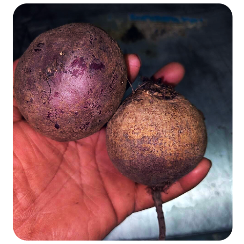 Beetroot