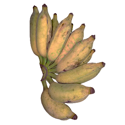 Fresh Kathali kola Online at Best Price - Vegtoh