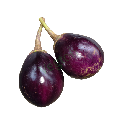 Fresh Begun Online at Best Price - Vegtoh