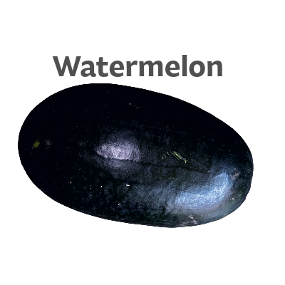 Watermelon Tarmuj